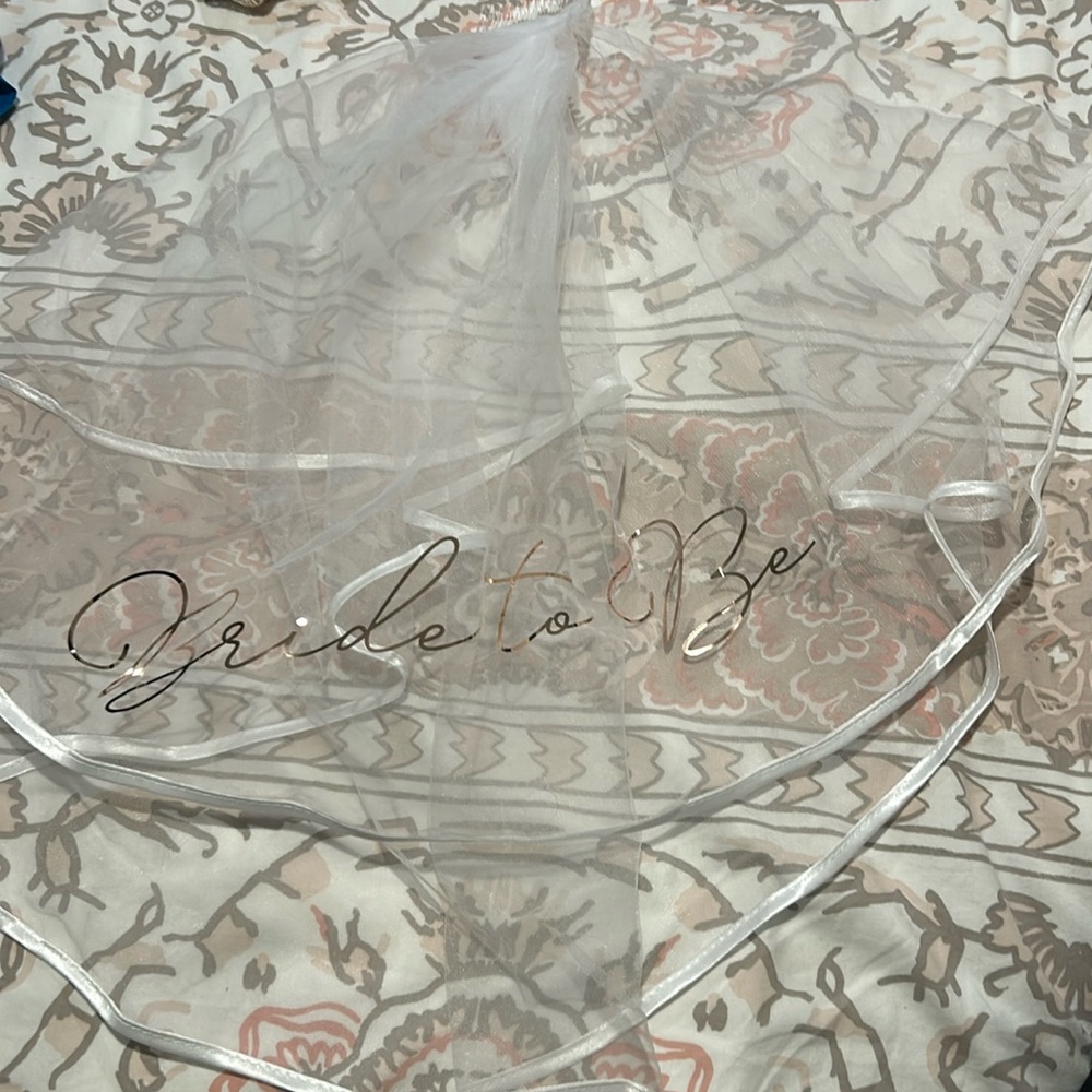 Bride to be veil